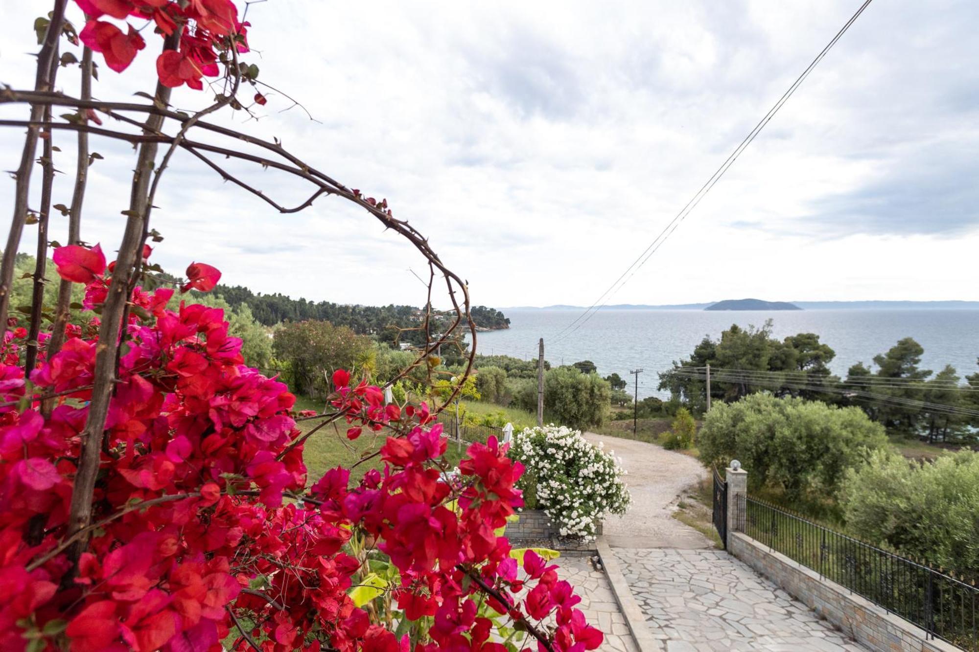 House Panorama Sea View Apartment Neos Marmaras Exterior photo
